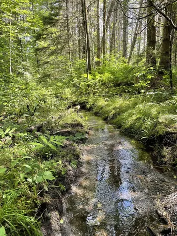 00 Ledge Hill Road Calais VT 05648