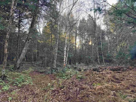 00 Ledge Hill Road Calais VT 05648