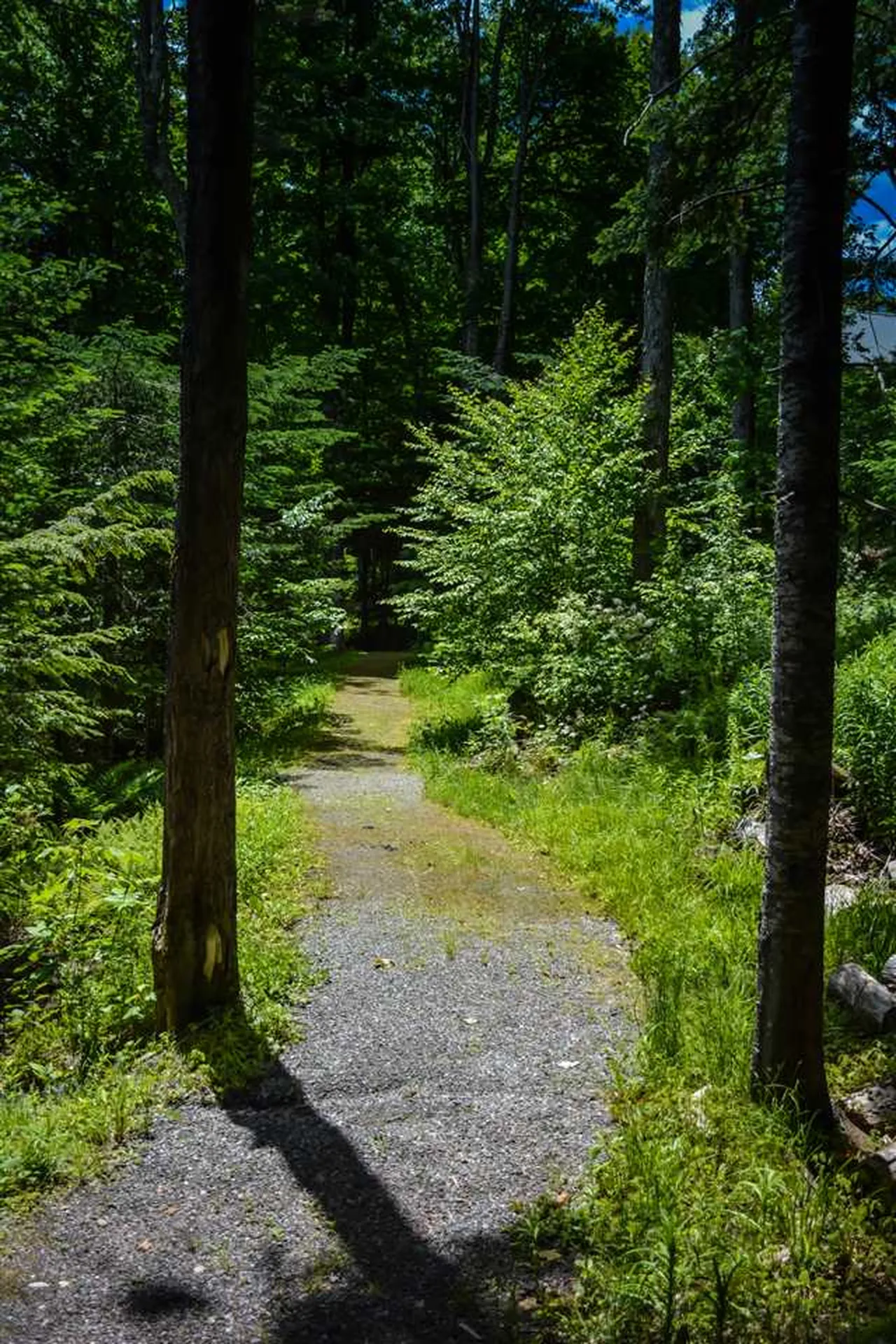 48 Landing Lane Wilmington VT 05363