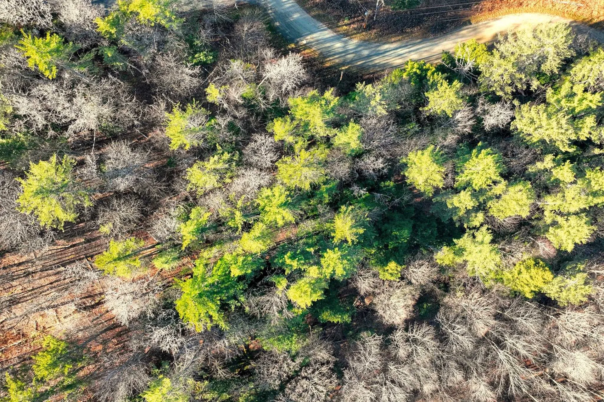 00 Partridge Road Ludlow VT 05149