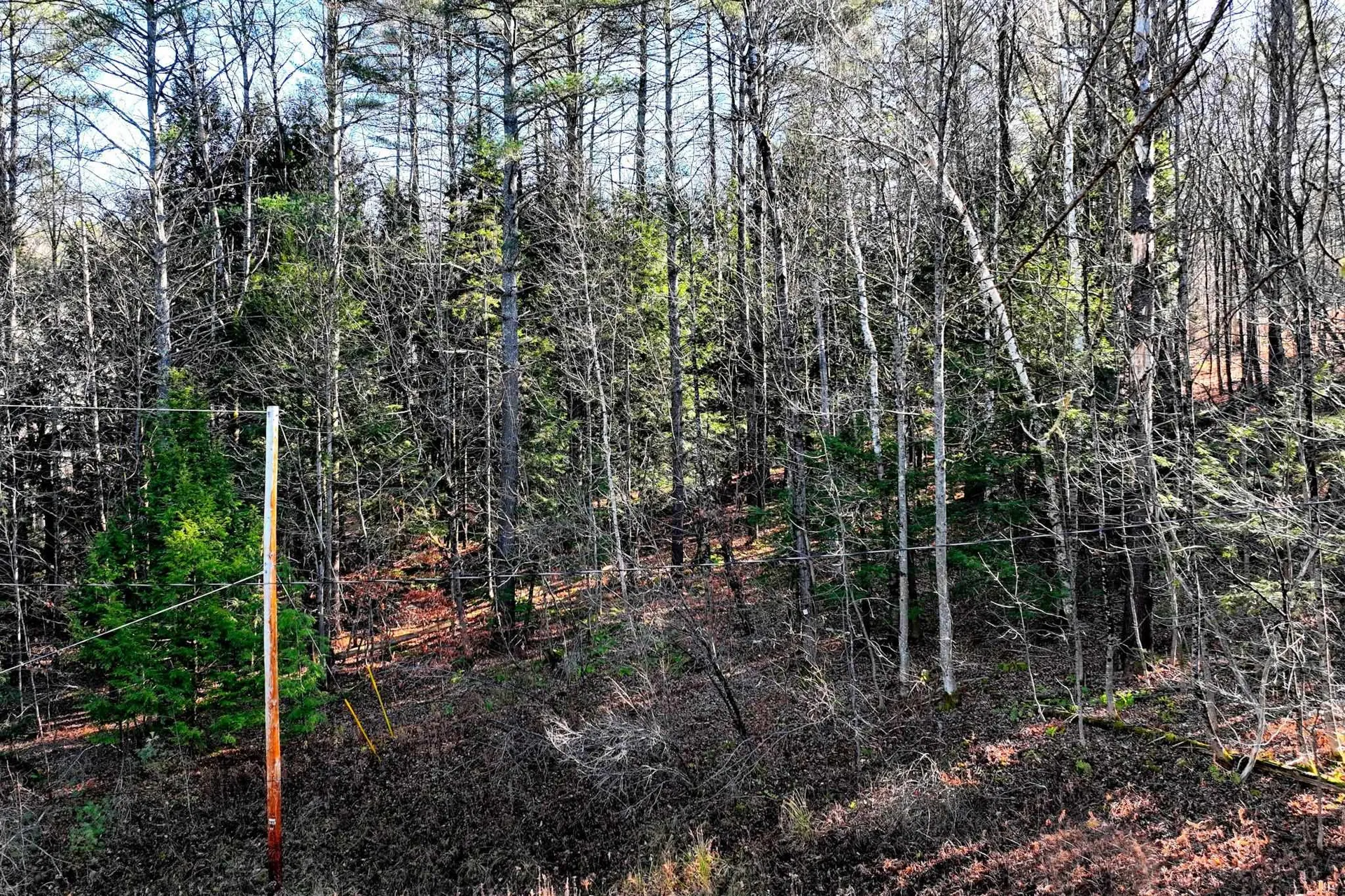 00 Partridge Road Ludlow VT 05149