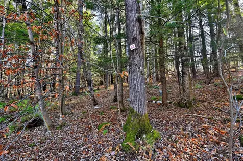 00 Partridge Road Ludlow VT 05149