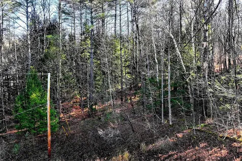 00 Partridge Road Ludlow VT 05149