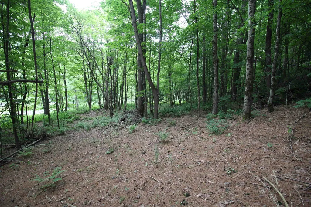 360 Liberty Hill Road Pittsfield VT 05762