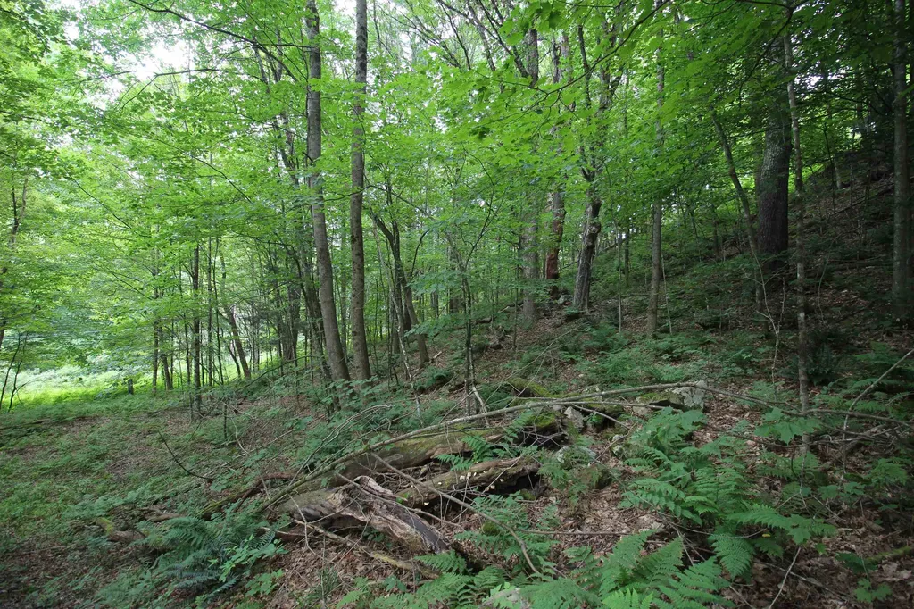 360 Liberty Hill Road Pittsfield VT 05762