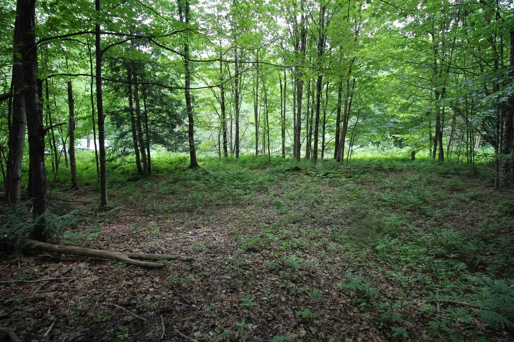 360 Liberty Hill Road Pittsfield VT 05762