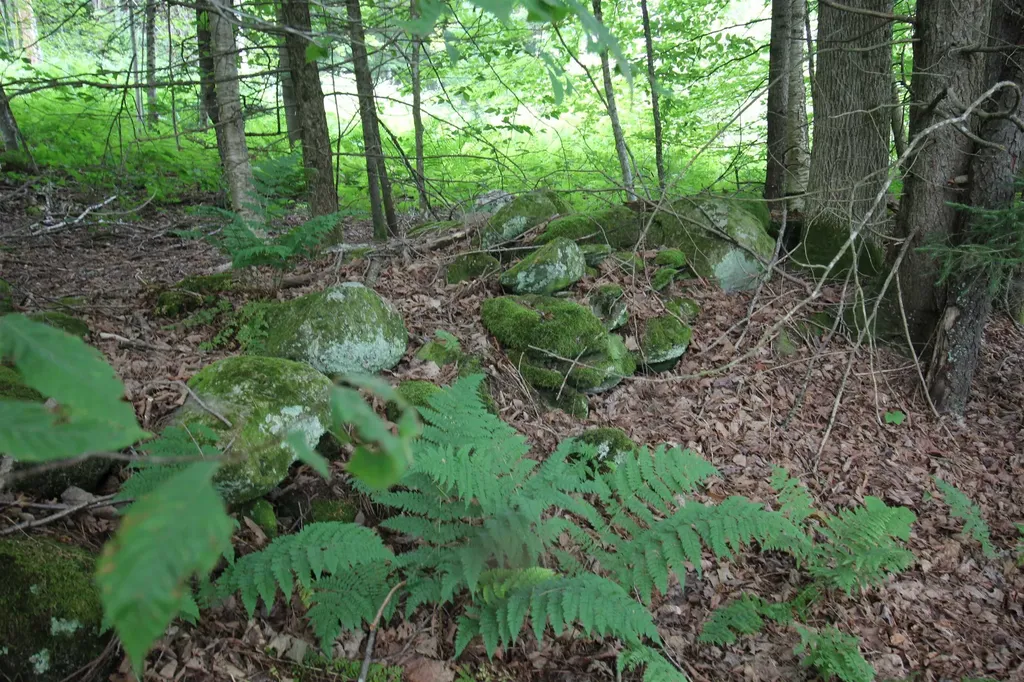 360 Liberty Hill Road Pittsfield VT 05762