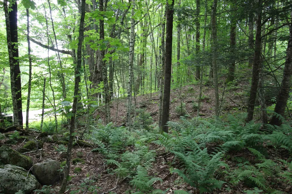 360 Liberty Hill Road Pittsfield VT 05762