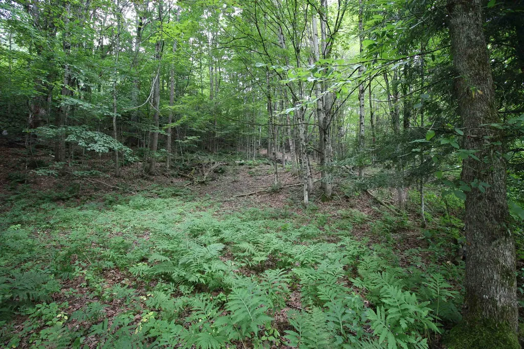 360 Liberty Hill Road Pittsfield VT 05762