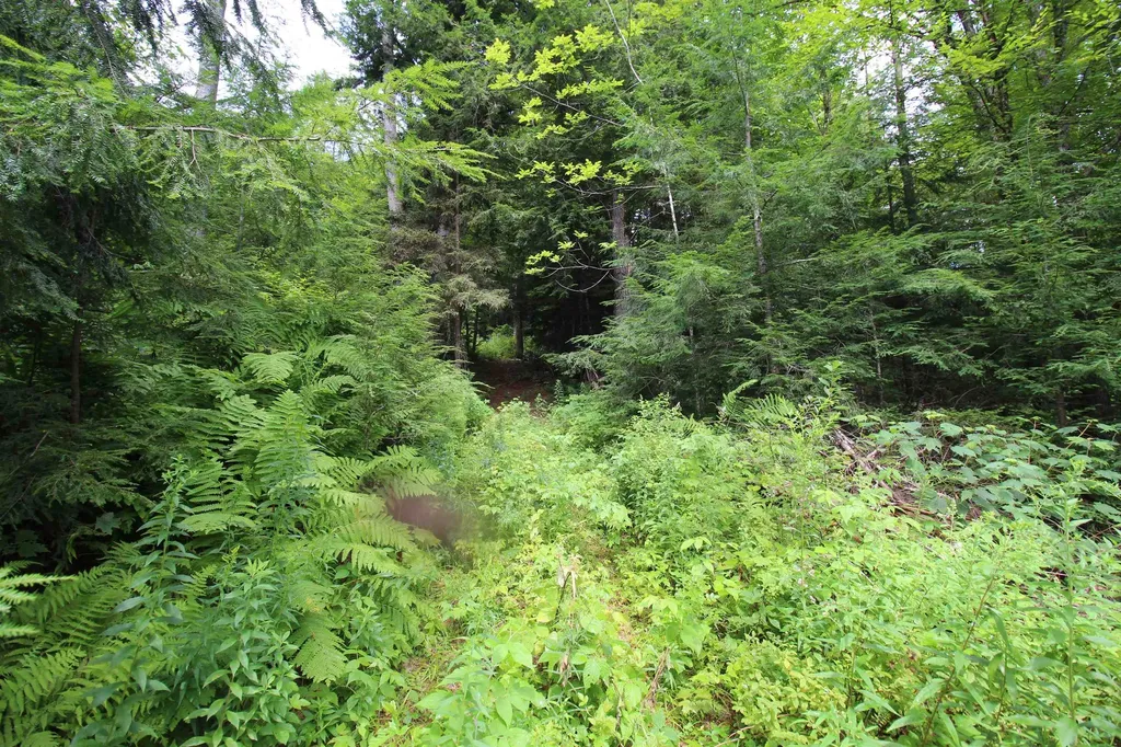 360 Liberty Hill Road Pittsfield VT 05762