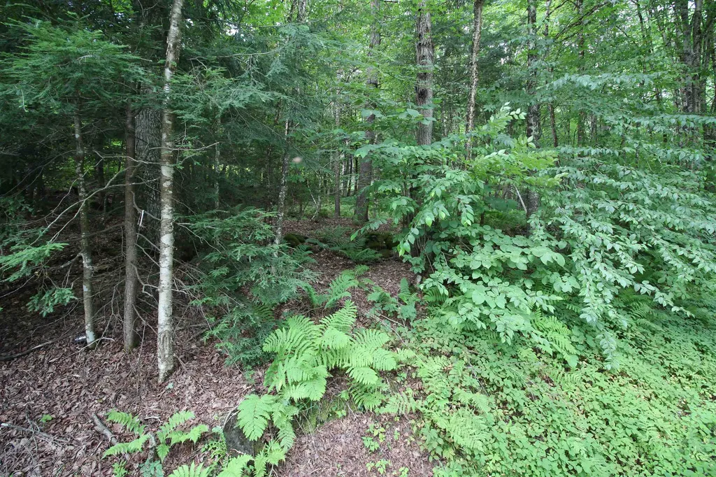 360 Liberty Hill Road Pittsfield VT 05762