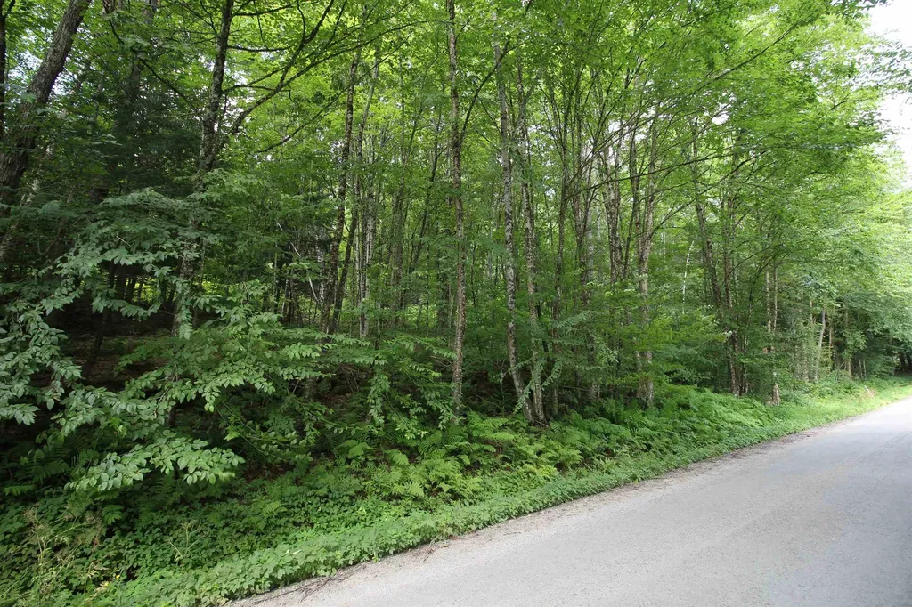 360 Liberty Hill Road Pittsfield VT 05762