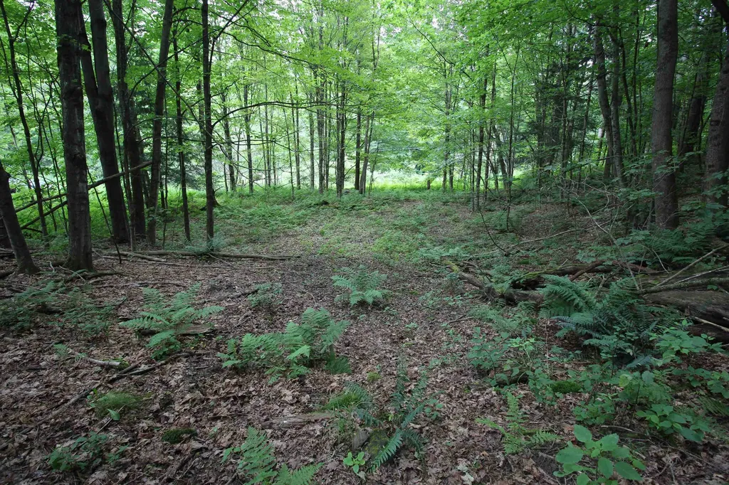 360 Liberty Hill Road Pittsfield VT 05762