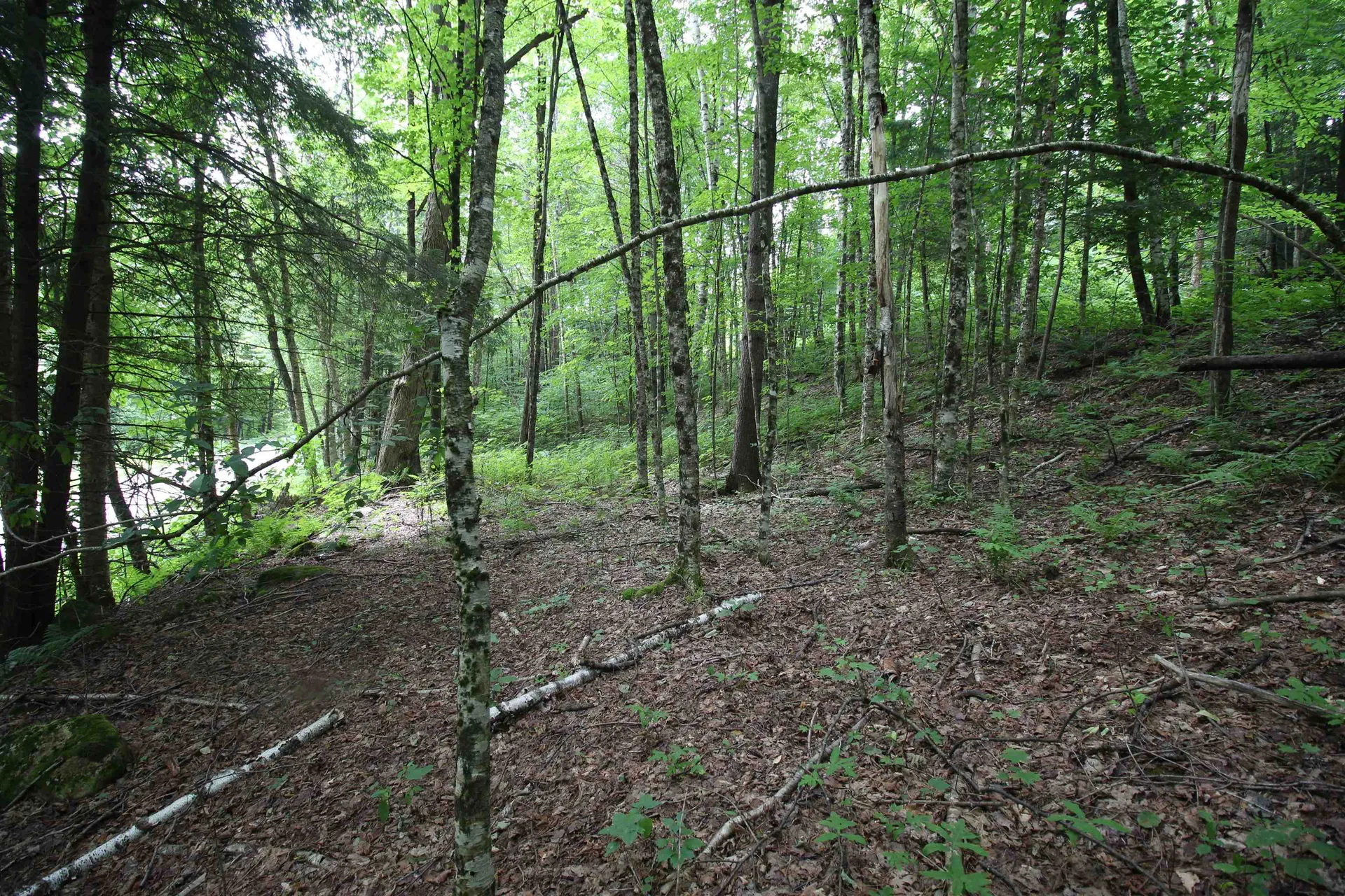 360 Liberty Hill Road Pittsfield VT 05762