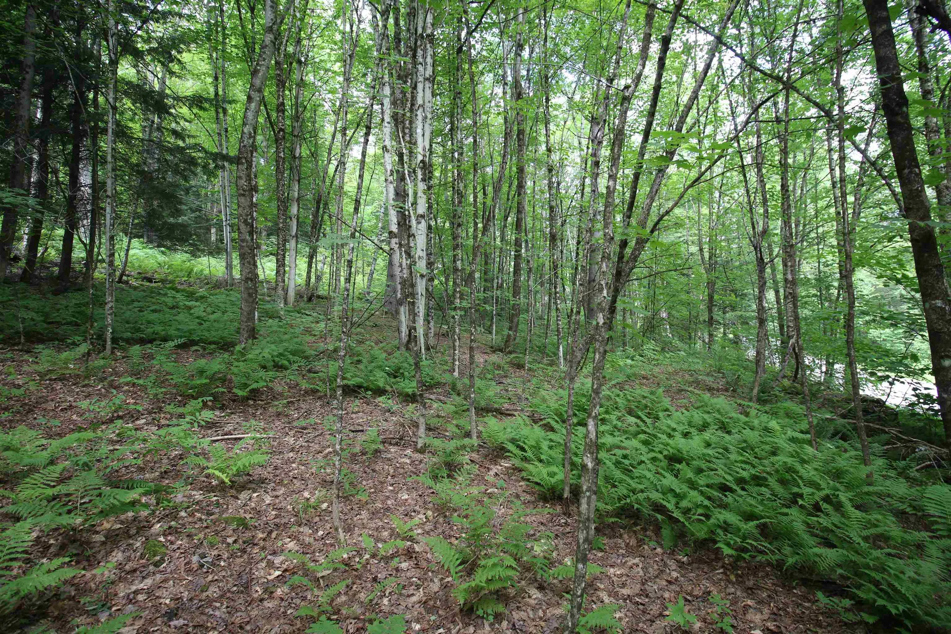 360 Liberty Hill Road Pittsfield VT 05762