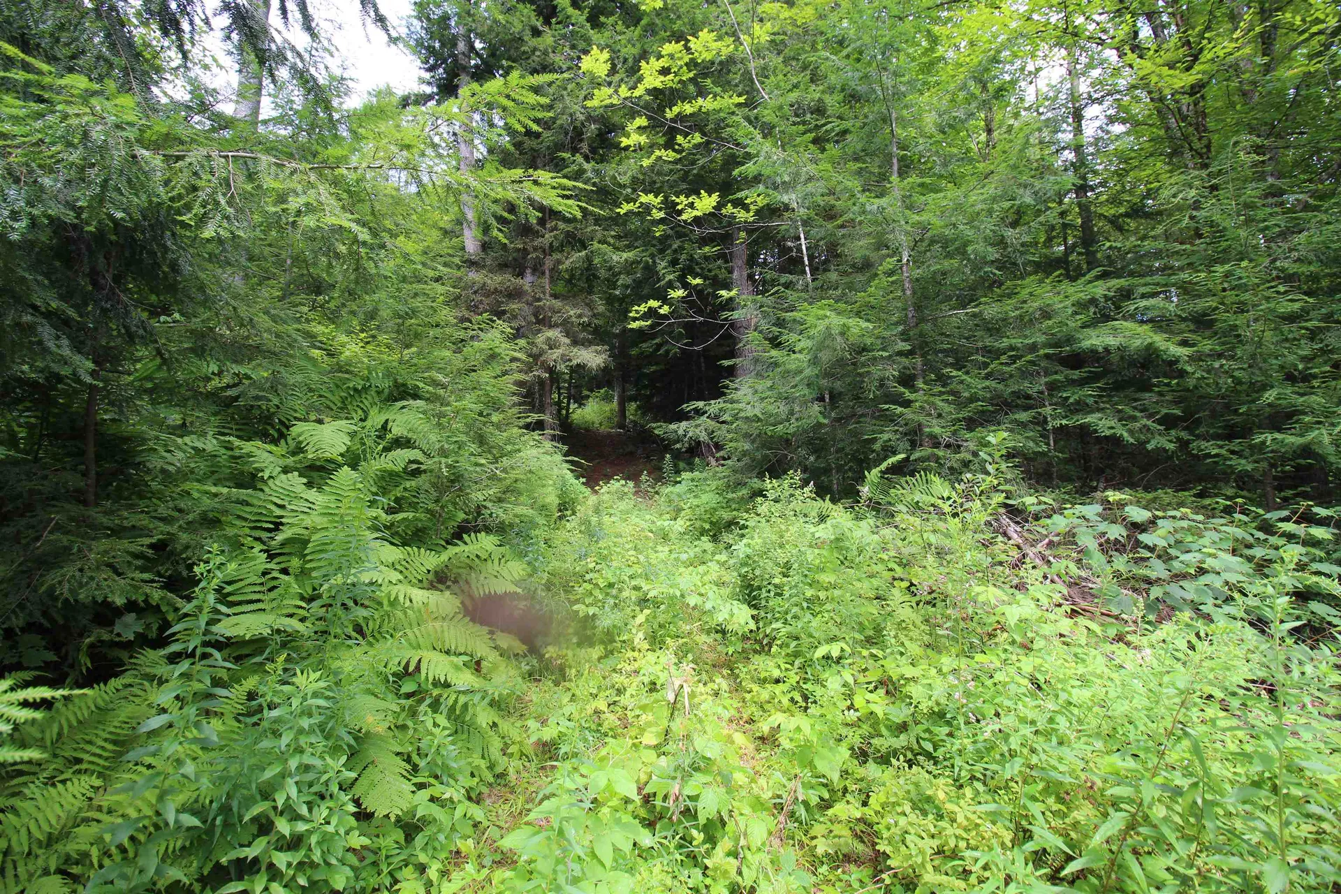 360 Liberty Hill Road Pittsfield VT 05762