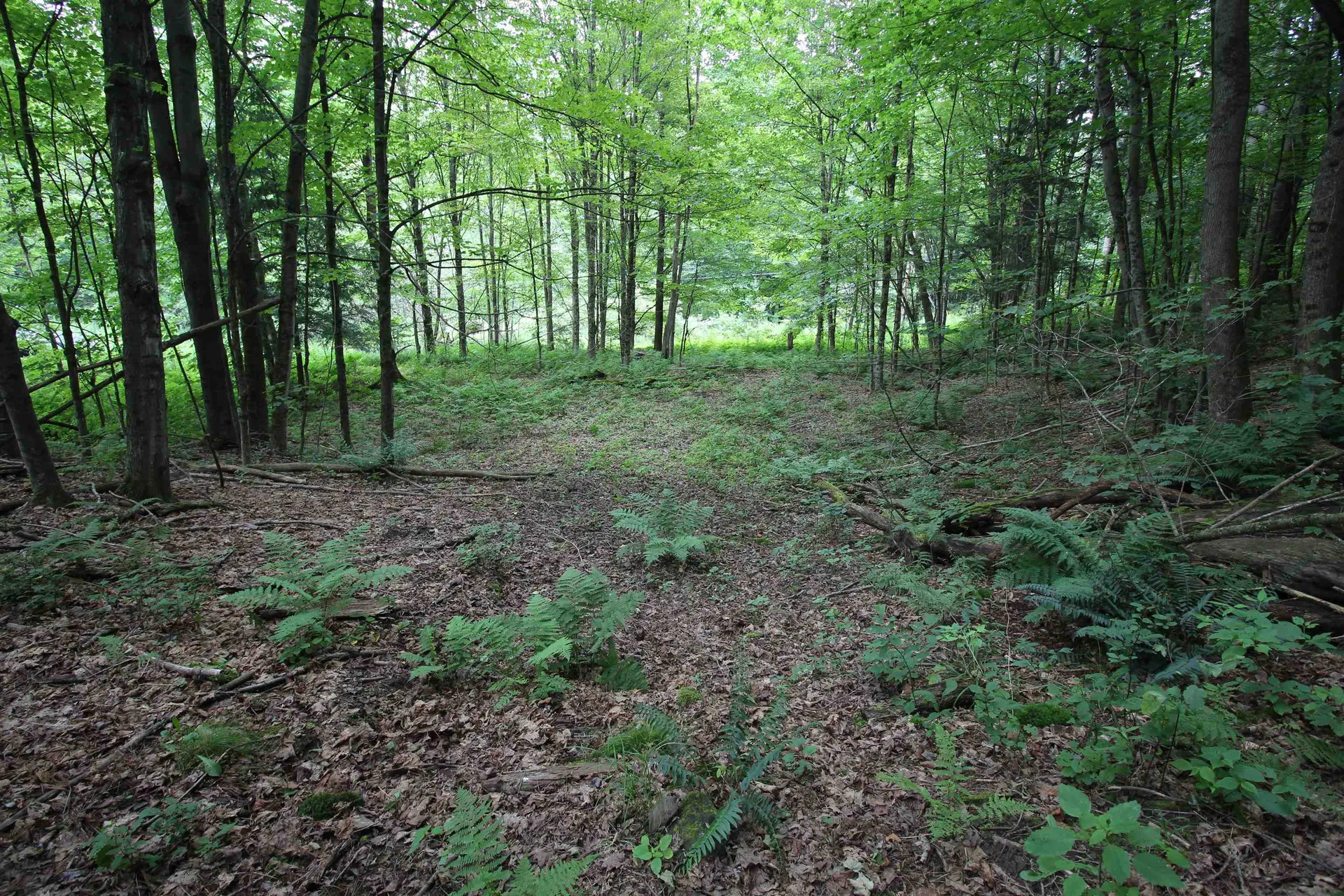 360 Liberty Hill Road Pittsfield VT 05762