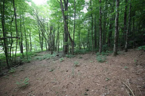 360 Liberty Hill Road Pittsfield VT 05762