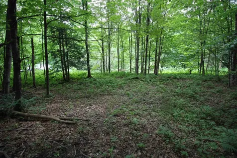 360 Liberty Hill Road Pittsfield VT 05762