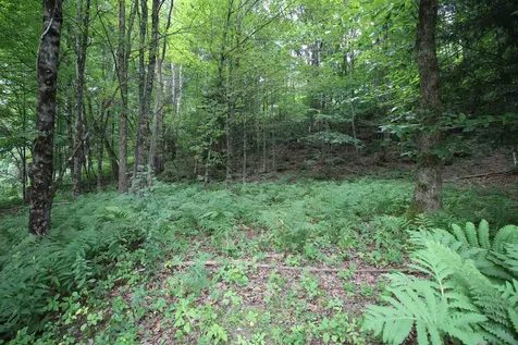 360 Liberty Hill Road Pittsfield VT 05762