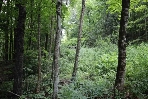 360 Liberty Hill Road Pittsfield VT 05762