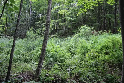 360 Liberty Hill Road Pittsfield VT 05762