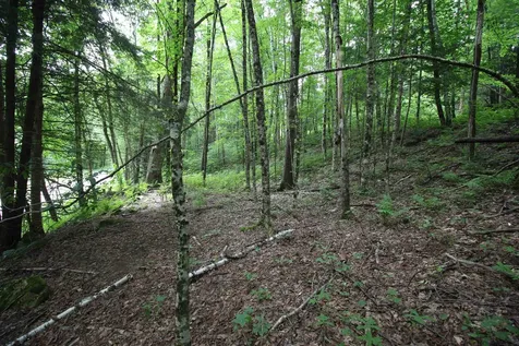 360 Liberty Hill Road Pittsfield VT 05762