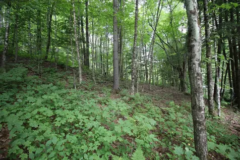 360 Liberty Hill Road Pittsfield VT 05762