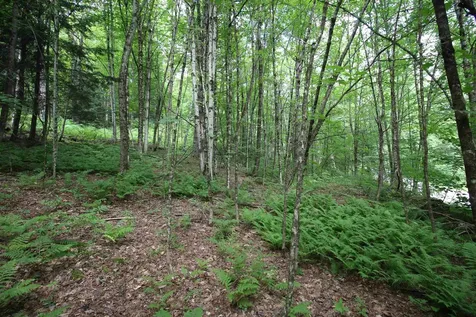 360 Liberty Hill Road Pittsfield VT 05762