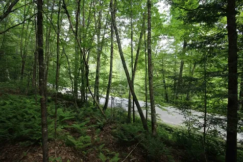 360 Liberty Hill Road Pittsfield VT 05762