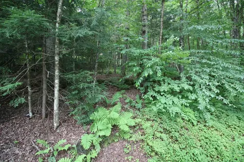 360 Liberty Hill Road Pittsfield VT 05762