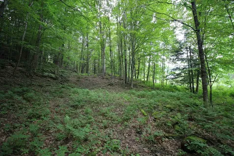 360 Liberty Hill Road Pittsfield VT 05762