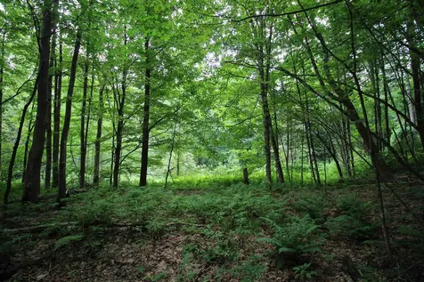 360 Liberty Hill Road Pittsfield VT 05762