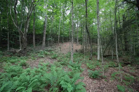 360 Liberty Hill Road Pittsfield VT 05762