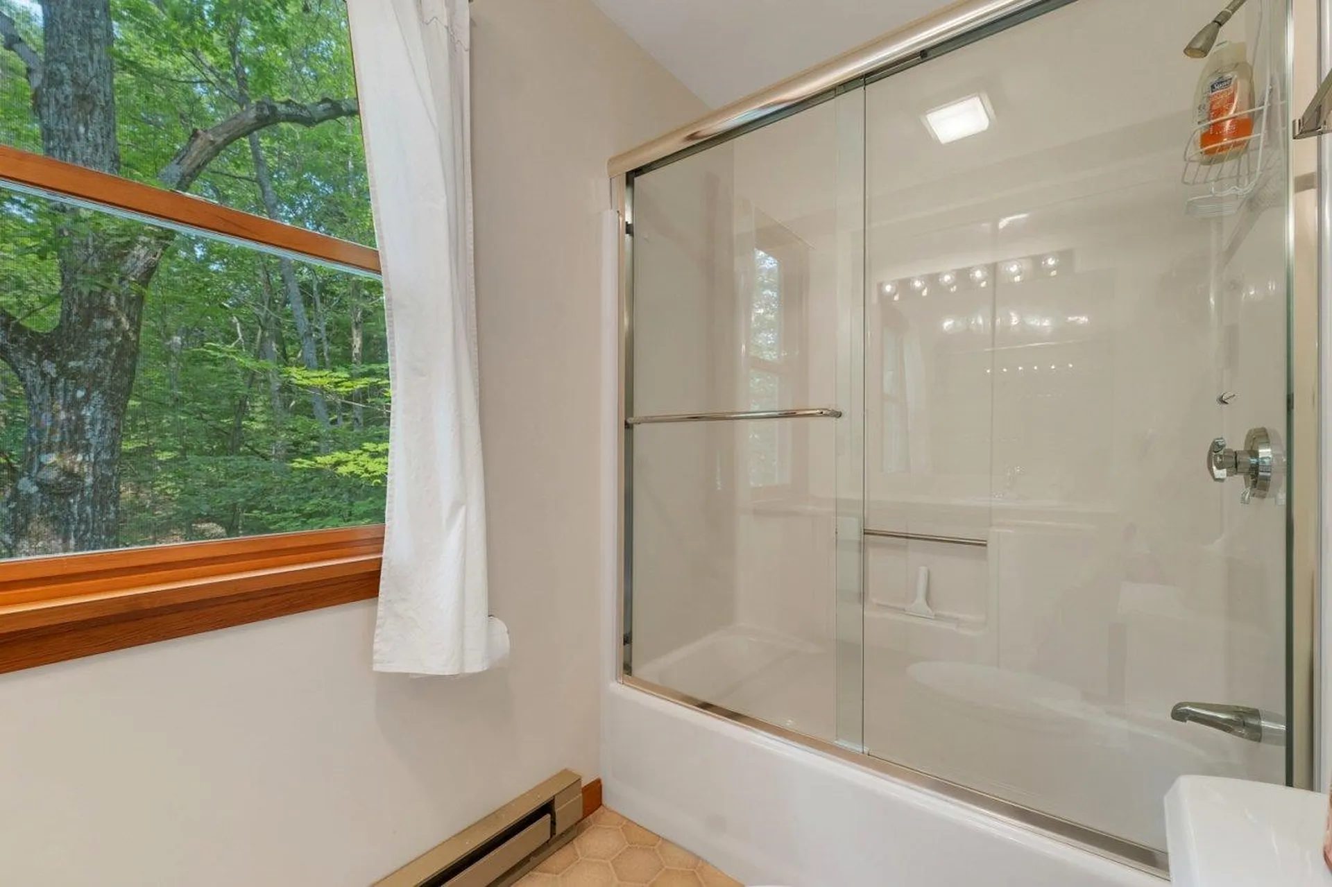 156 Big Barndoor Island Alton NH 03810