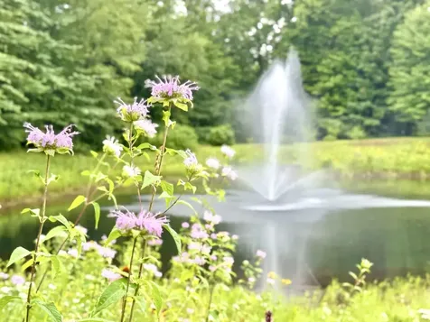 3 Sterling Hill Lane Exeter NH 03833