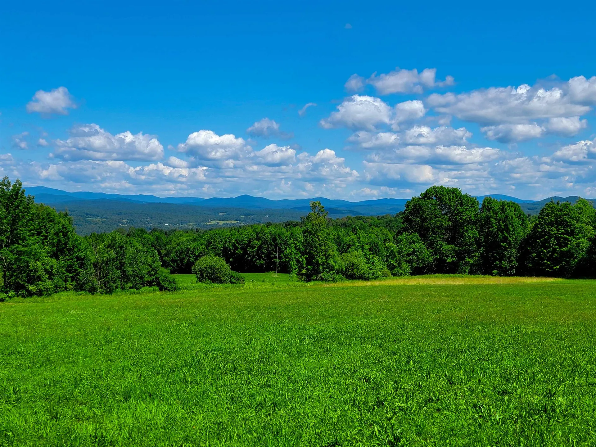 1211 Middle Road Plainfield VT 05667