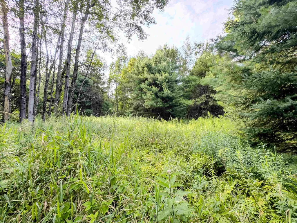 00 Woodsville Road Monroe NH 03771