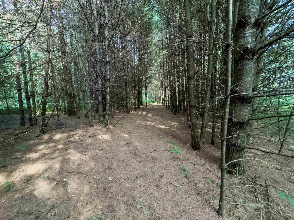 00 Woodsville Road Monroe NH 03771