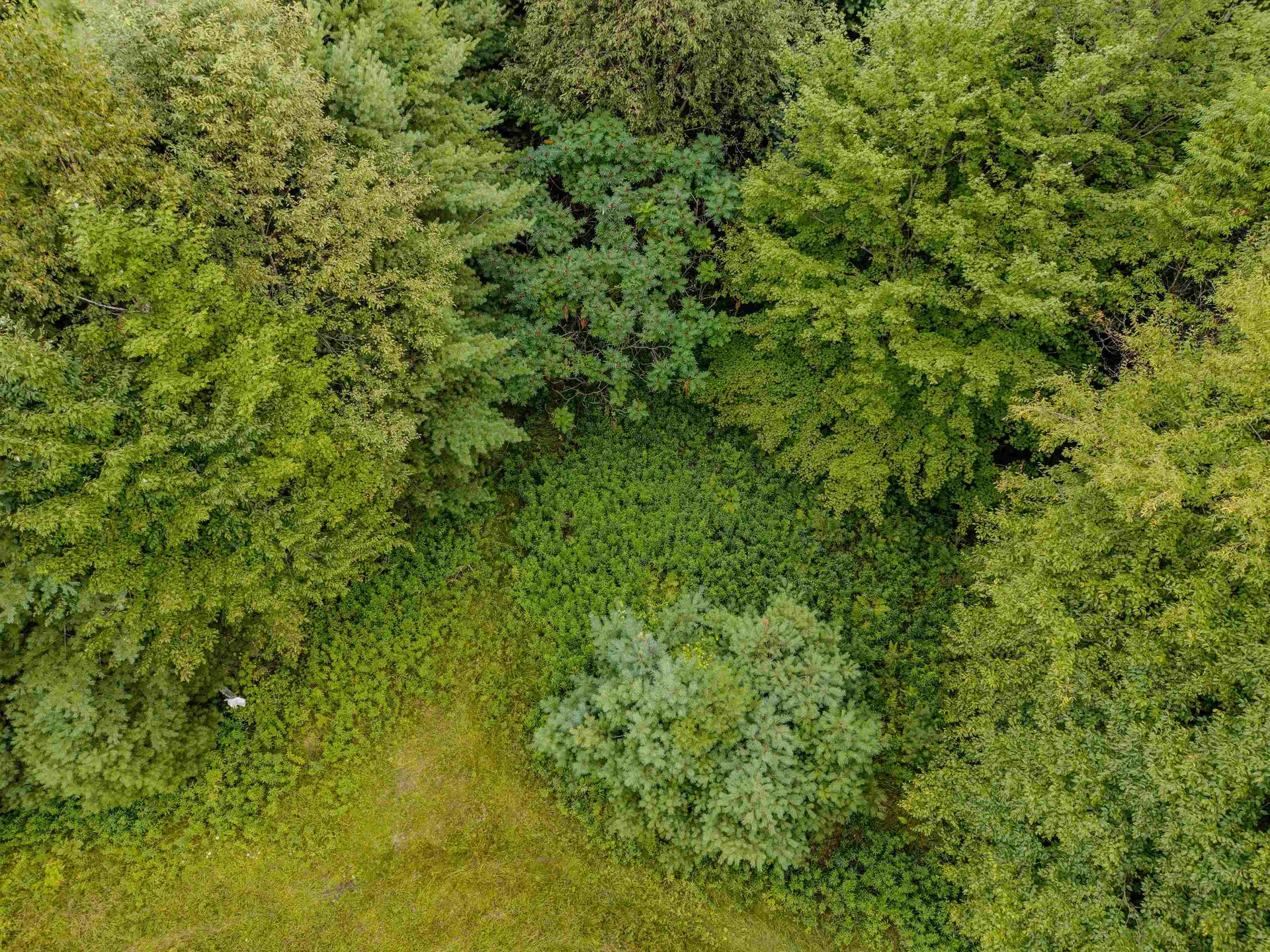 00 Woodsville Road Monroe NH 03771