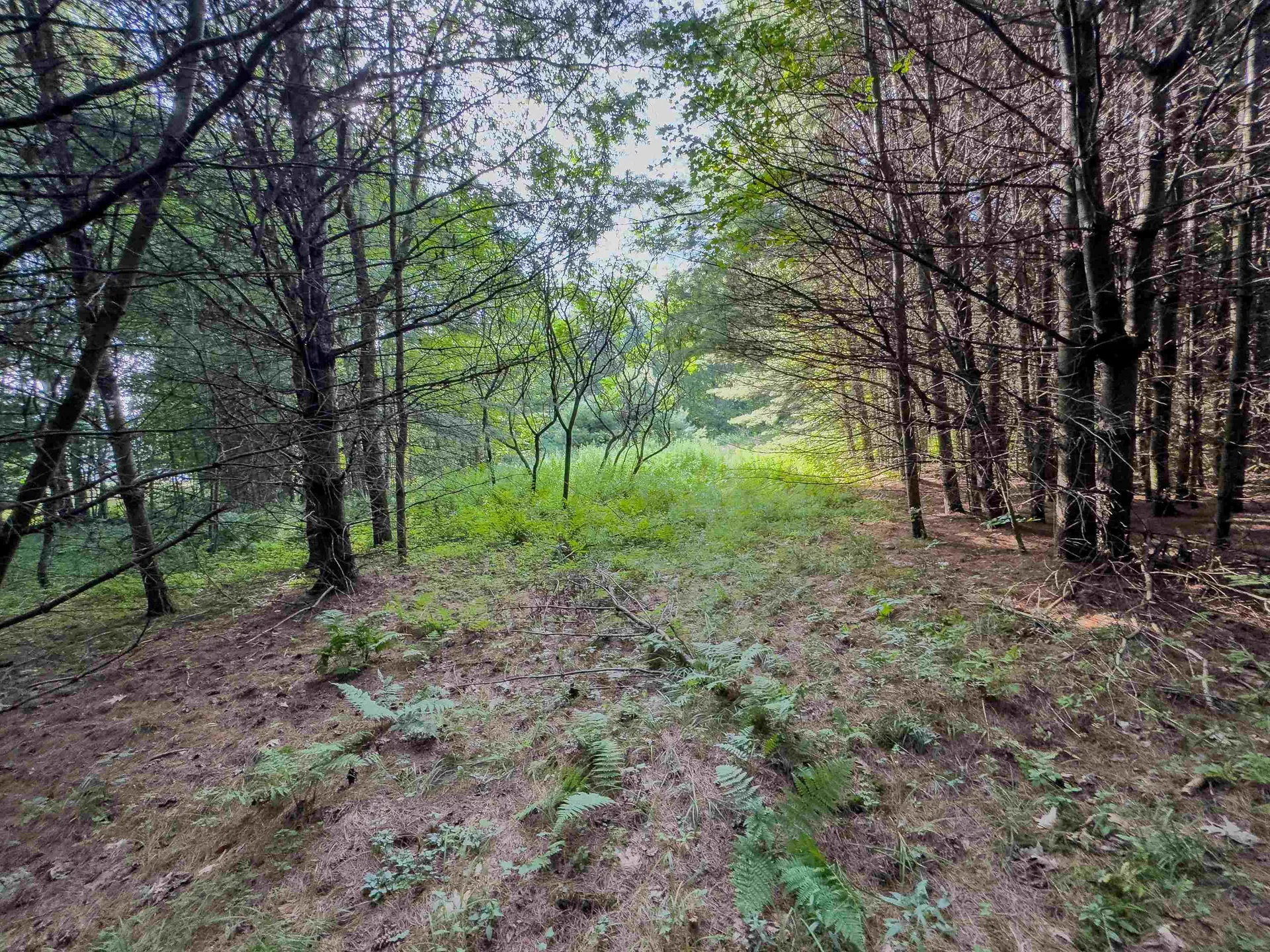 00 Woodsville Road Monroe NH 03771