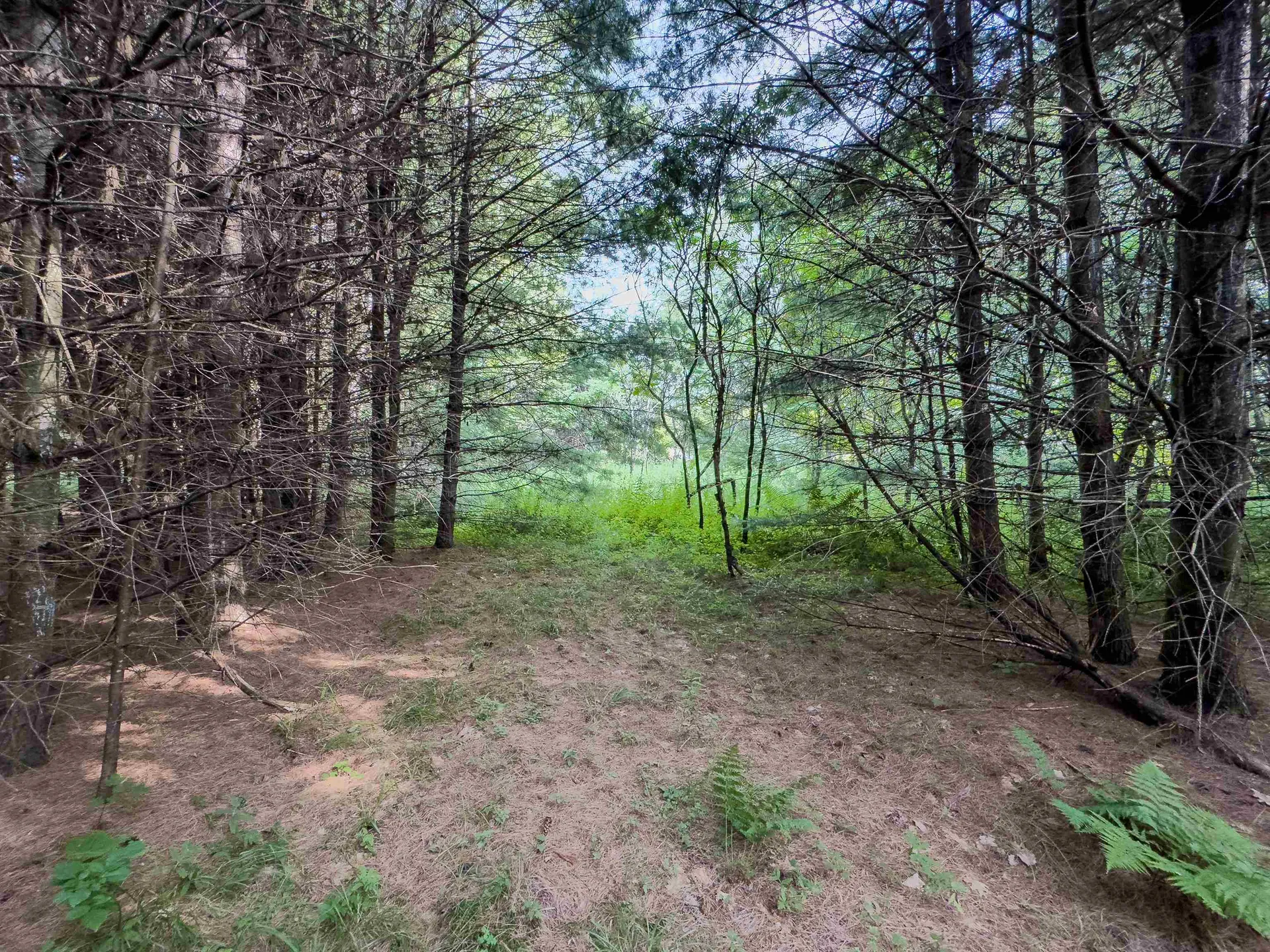 00 Woodsville Road Monroe NH 03771