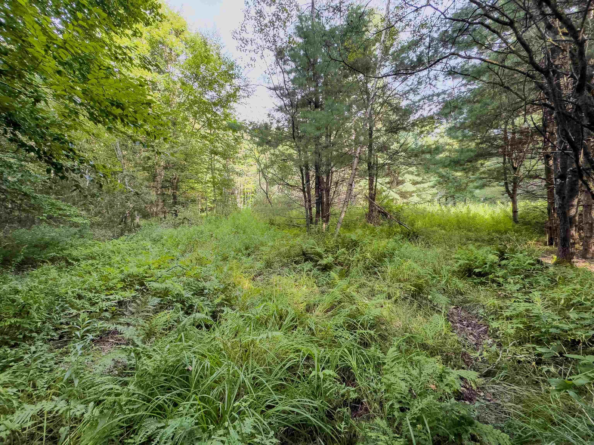 00 Woodsville Road Monroe NH 03771