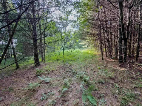 00 Woodsville Road Monroe NH 03771