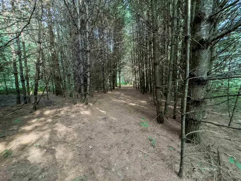 00 Woodsville Road Monroe NH 03771