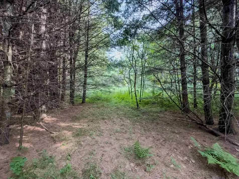 00 Woodsville Road Monroe NH 03771