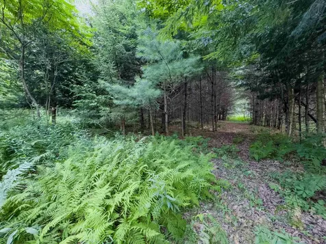 00 Woodsville Road Monroe NH 03771