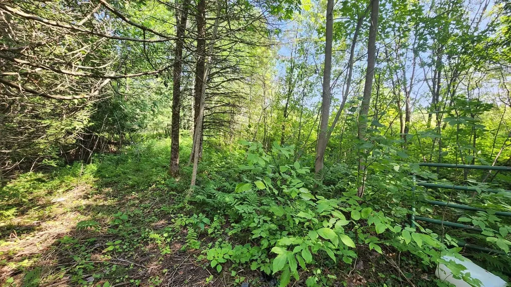 2068 Morgan Charleston Road Morgan VT 05853