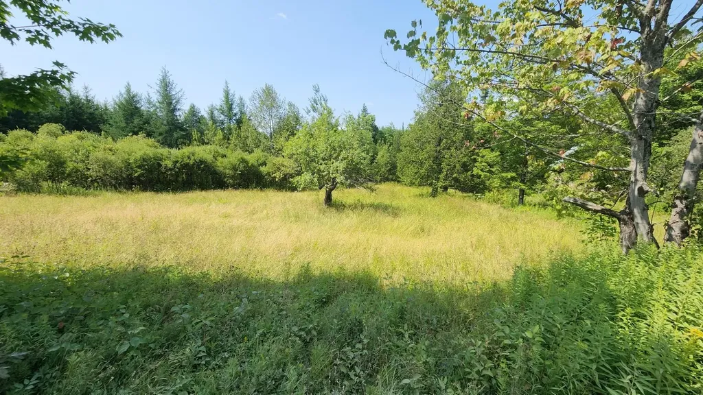 2068 Morgan Charleston Road Morgan VT 05853