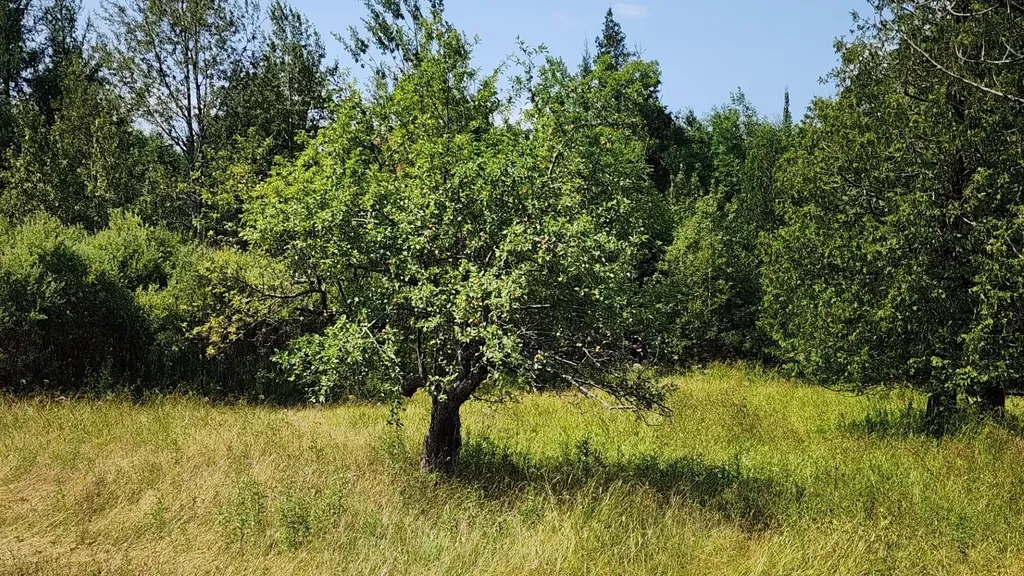 2068 Morgan Charleston Road Morgan VT 05853